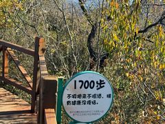 -大岭沟猕猴桃谷风景区