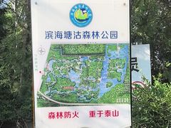 -塘沽森林公园