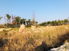 -春花秋色城市公园