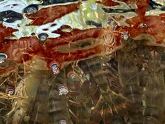 -南沙十九涌渔人码头-南门