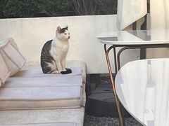 -翠贝卡&Mama Kelly Brunch Coffee(河西店)