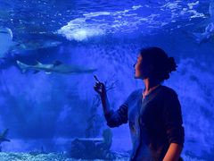 -太平洋海底世界