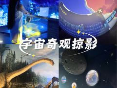-中国西峡恐龙遗迹园