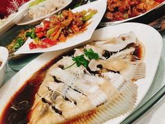 清蒸多宝鱼-新洪记·丽久饭店(铁西店)