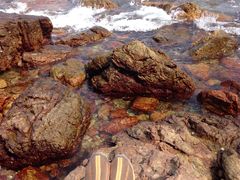 -西涌国际滨海旅游区