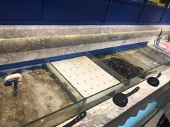 -火锅岛潮牌自助餐厅(天津天佑城店)