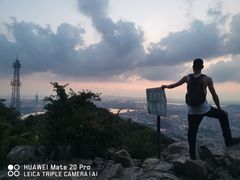 -紫金山山顶公园