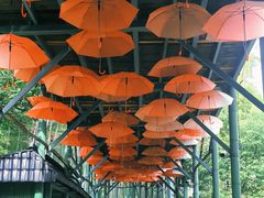 -陶祖圣境风景区