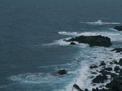 -涉地可支