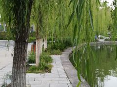 -莲湖公园