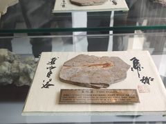 -房山世界地质公园博物馆