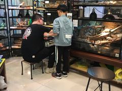 -乌龙爬宠部落(信和购物广场店)