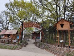 -北京西山国家森林公园