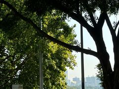 -南宁南湖公园