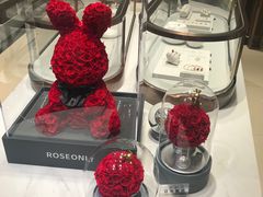 -ROSEONLY诺誓(磐基中心店)