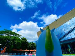 -深圳隐秀山居酒店