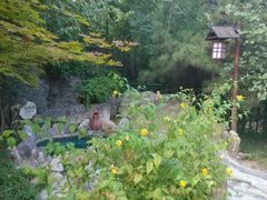 android_upload_pic-金隅凤山酒店