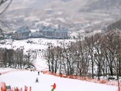 -中旅松花湖滑雪场