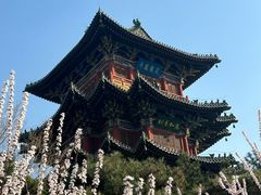 -迎泽公园