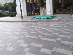 -湖锦酒楼·旗舰店(三阳总店)
