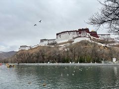 -宗角禄康公园