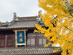 -圆通寺