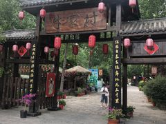 -合肥滨湖国家森林公园