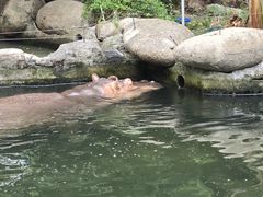 -宁波野生动物园
