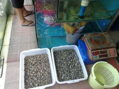 -Sasa的海(蜈支洲岛后海店)