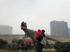 -陕西自然博物馆