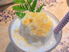 -野草莓自由市场