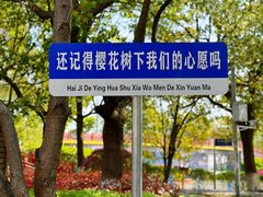 -高东镇樱花园