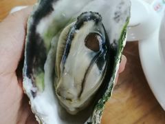 -阿古海鲜大排档(青澳湾自然之门六年好店)