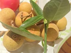 -季季山·云南野生菌火锅(上海首店)