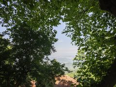 -莫干山风景区