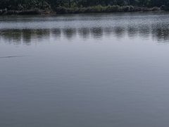 -千龙湖生态旅游度假区