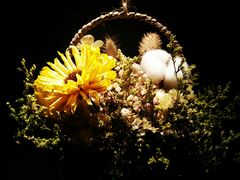 -春熙台韩国料理·章鱼肥牛(西丽店)