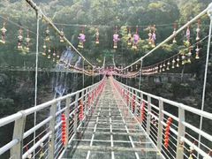 -九龙江国家森林公园