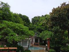 -碧水湾温泉