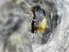 -文武王氏烧饼·无矾油条(西溪路店)