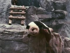 -鄂尔多斯野生动物园