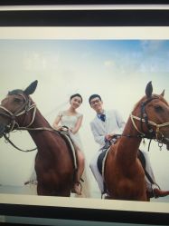 -巴黎春天·菀纱仙庭婚纱美学