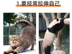 -达爱动物医院·犬猫分区·CT·复杂眼科(远洋山水分院)