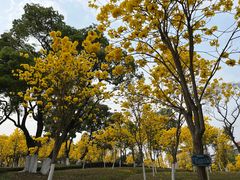 -天河儿童公园