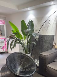 -春田皮肤管理中心品牌旗舰店