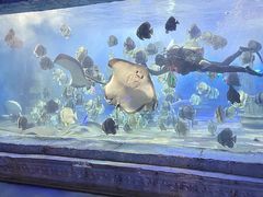 -梦幻海洋王国(吾悦广场张家港店)