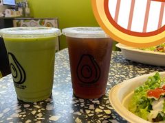 能量油梨果-油梨树AVOCADO TREE(顺义新国展店)