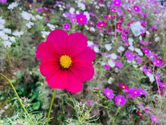 -北京西山国家森林公园