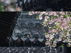 -莫愁湖公园