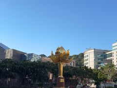 -金莲花广场
